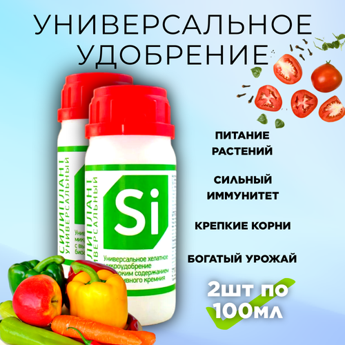 ������ ������ ���� � ���������, 2 �� �� 100 �� ����