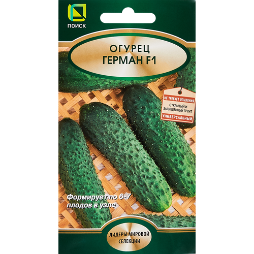 ������ ������ ������ ������ ����� ������ ������ F1 5 ��. ����