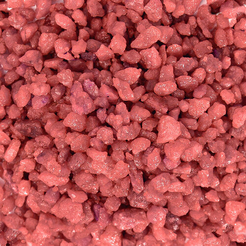 ������ ������ ����������� ����� ��� ��������, ����������� � ��������, Zoo One, ��������� ��������, 