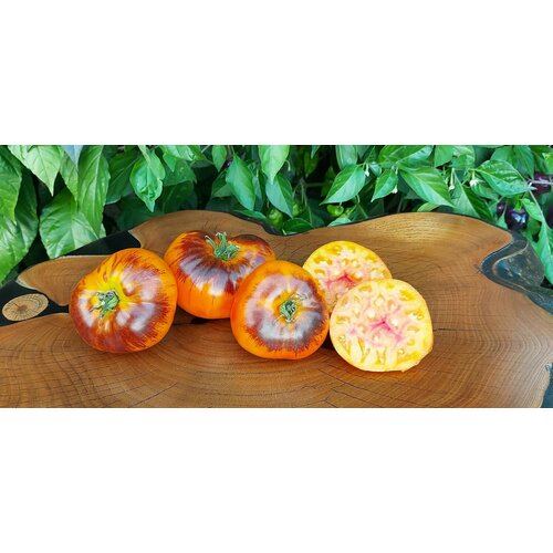 ������ ������ ������ ������ ����-���� (Chupa Chups) / Seeds And Goods / � �������� zip-lock ��� ���������� 10 ����� ����