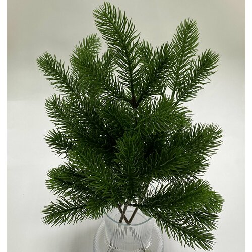 ������ ������ ������ ����� �������������, 16 �����, 42��, 3 ��/��� ������/����� ��� ����