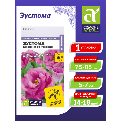 ������ ������ ������ 