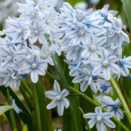 ������ ������ �������� �������� ���������� ( 10 �� ) ����