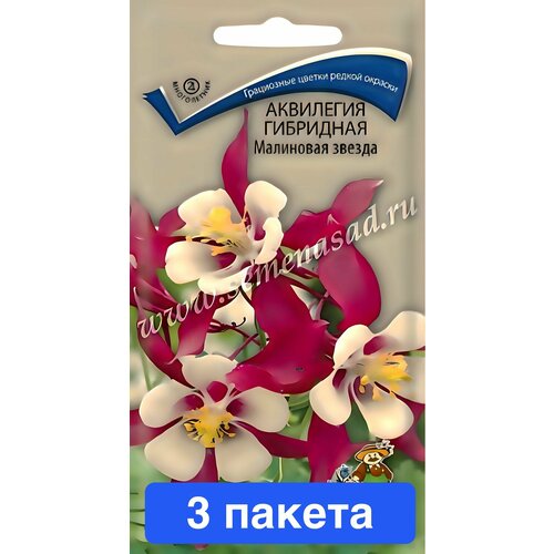 ������ ������ ������ ������ ����� 