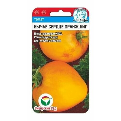 ������ ������ ������ ����� ����� ������ ����� ��� 20�� (��������� ���) ����