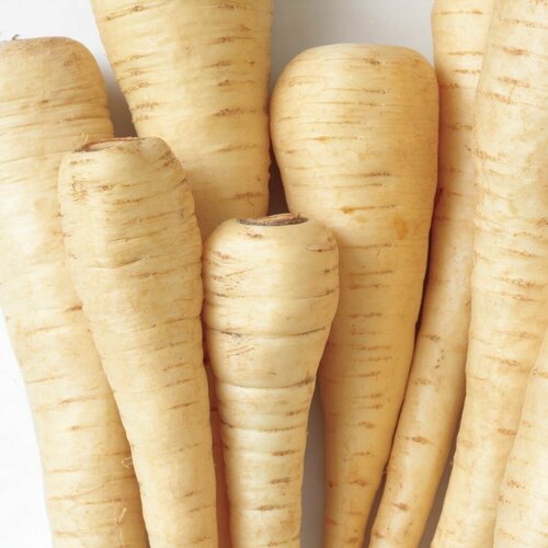 ������ ������ ������ ���������� 