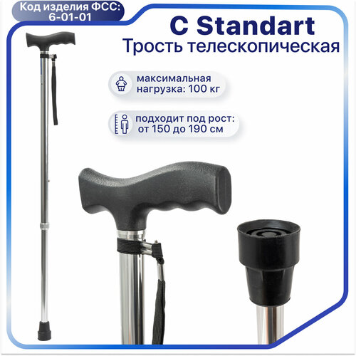 ������ ������ ������ C Standart ���� ����