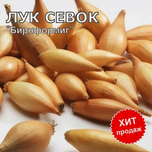 ������ ������ ��� ����� ������ �� ������� ���������� 900� ����