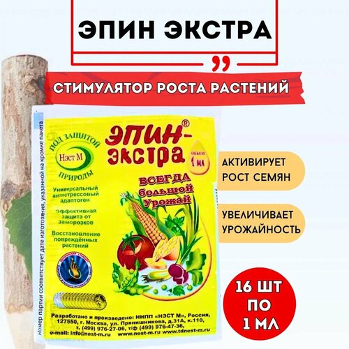 ������ ������ ���� � ��������� ���� ������ ��� �������� 1 ��, 16 �� ����