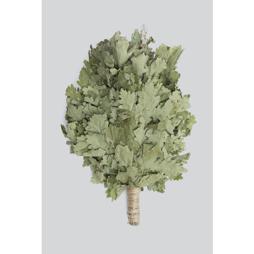 ������ ������ ������ ��� ���� � ����� ����