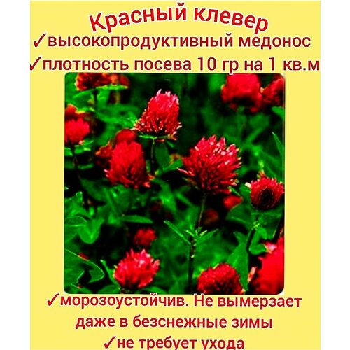 ������ ������ ������ ������� ���������� 30��, ������ �������� ��� ����/ ������/ ������ ����� ����