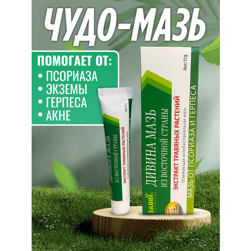 ������ ������ ����-���� �� ������, ��������, ���������, ���� � ������ ������ 15 ��. ����