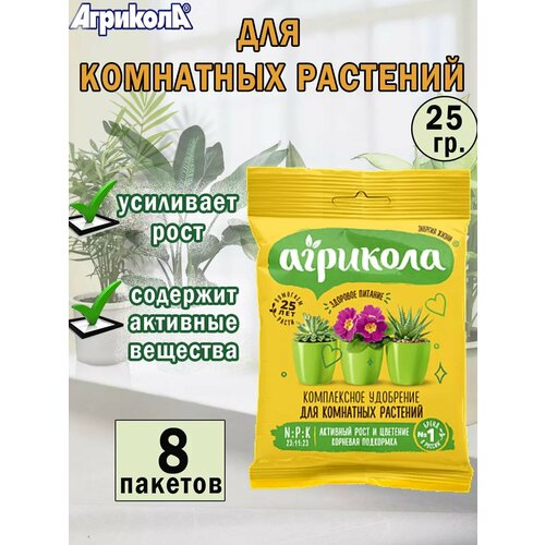 ������ ������ ������������� ��������� ��� ��������� �������� 25 ��. ����