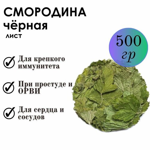 ������ ������ ��������� 