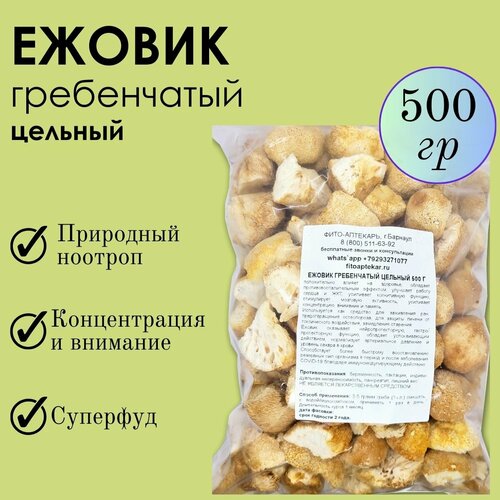 ������ ������ ���� ������ 