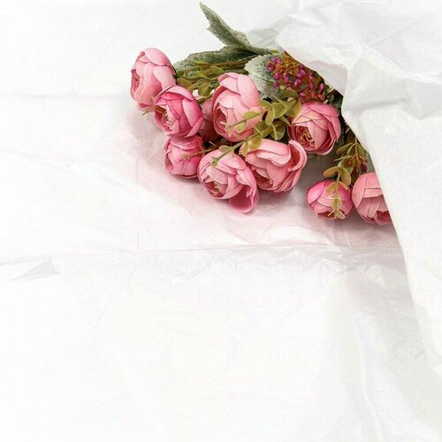 ������ ������ ����������� ������, ����� (0,5*0,65 �) �����, 10 ��. ����