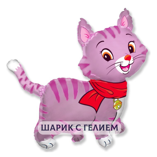 ������ ������ ��������� ��� � ������ ��� ������� 