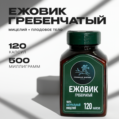 ������ ������ ������ ����������� (������) � �������� 120 �� / ���� �� ����� / ��������� ������� / ����� ����