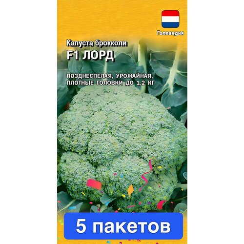 ������ ������ ������ ������ ������ 