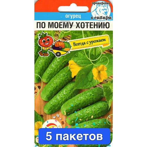 ������ ������ ������ ������ ��������� ��� 