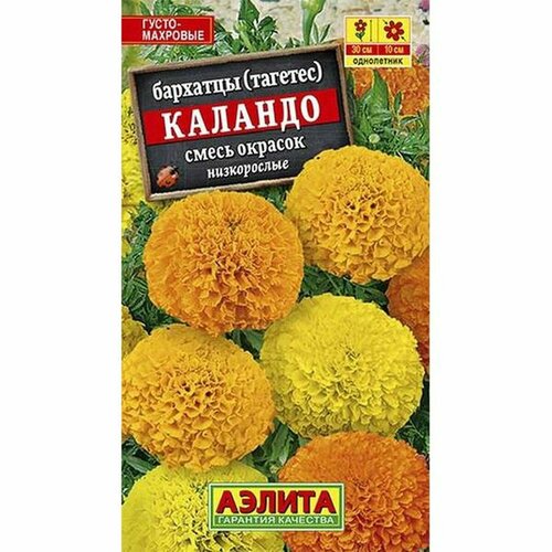 ������ ������ ������ �������� �������, �����, ��. (����������) (������) 0,3� ����