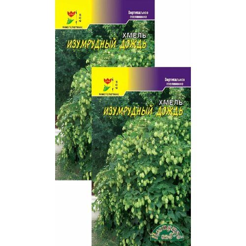 ������ ������ ����� ���������� ����� (0,1 �), 2 ������ ����