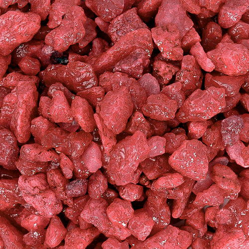 ������ ������ ����������� ����� ��� ��������, ����������� � ��������, Zoo One, ��������� ��������, 