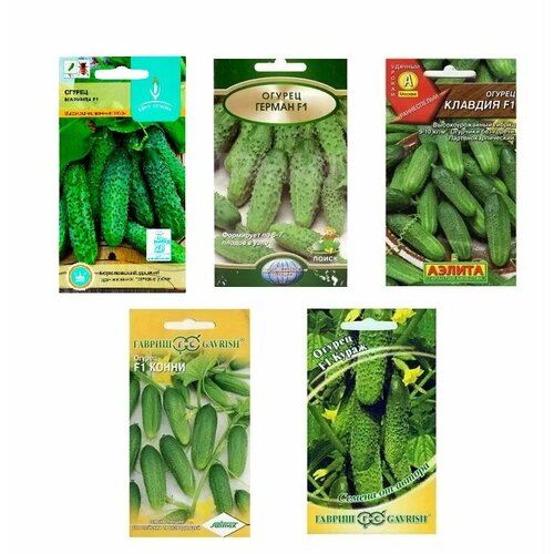 ������ ������ ����� ����� ������� 