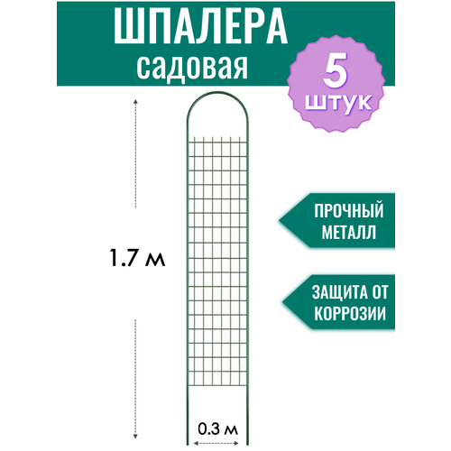 ������ ������ ������� ������� ������������ ����� h-1.7 � (5 ����), ������������� � ��� �������� d10 �� ����