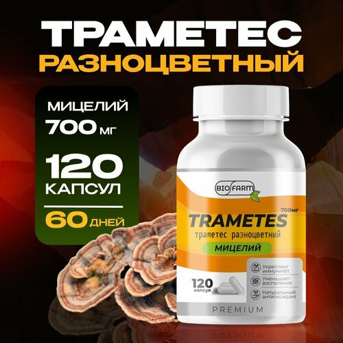 ������ ������ �������� ������������ ������� 700��, �������� ���� ����