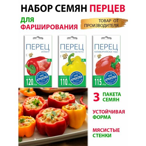 ������ ������ ������ ������ ��� ���������� ����