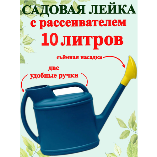 ������ ������ ����� ������� 10�. ������������ ����