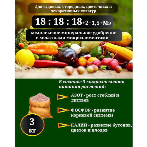 ������ ������ ��������� ��������������� (18-18-18+2+1,5+��) � ��������� ���������������, 3��. ����