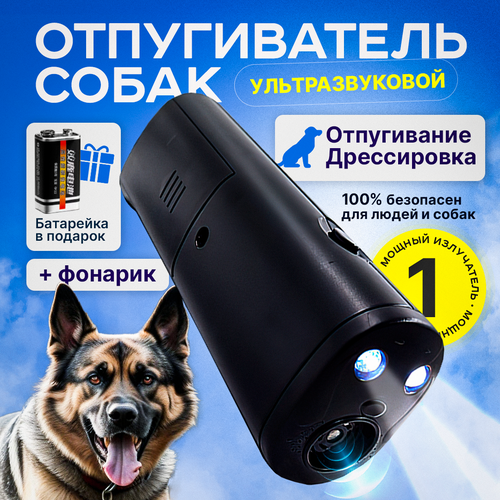 ������ ������ ������������ ����� �������������� � ���������, c �������� �����������, ��� ������ �� �������� ����