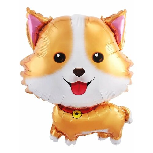 ������ ������ ��� (27'/69 ��) ������, ����� �����, 1 ��. ����