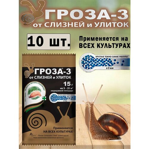 ������ ������ �����-3, ��������, ������� ������ ������� � ������ 15 ��. ����