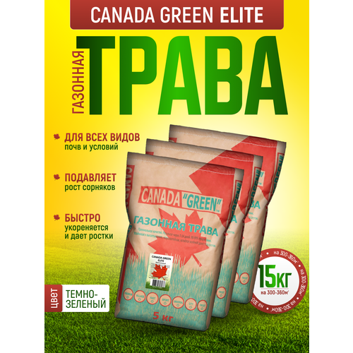        15 /  15/ Canada Green Elite 15/   , ,    -     , -,   