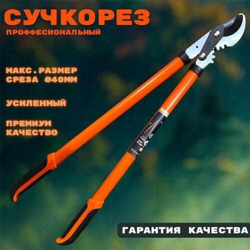 ������ ������ �������� ��������� ���������������� ������, ���� �� 40 ��, ������������������ ����� SK5 ����