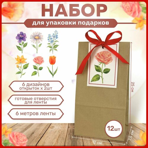 ������ ������ �������� ����� ������ ���������� ���������� ��� ��������, ����� ������� ����������� �� ���� ��������, ����� ���, 8 �����, 23 �������, � ������ 12 �� ����