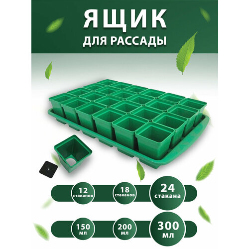 ������ ������ ����� ������� ��� ������� � �������� 0,3 � 24 �� ����