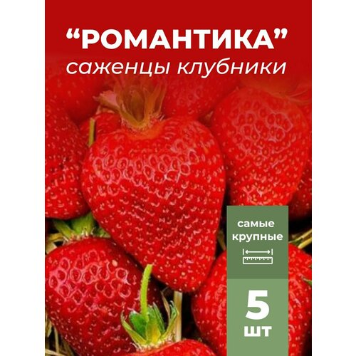 ������ ������ �������� ����� ������������� ���������, �������/��������� �������� 5 �� ����