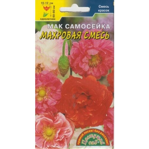 ������ ������ ������ ��� �������� ����� ��������� 0,1� ��� 80�� (�������� ���) ����