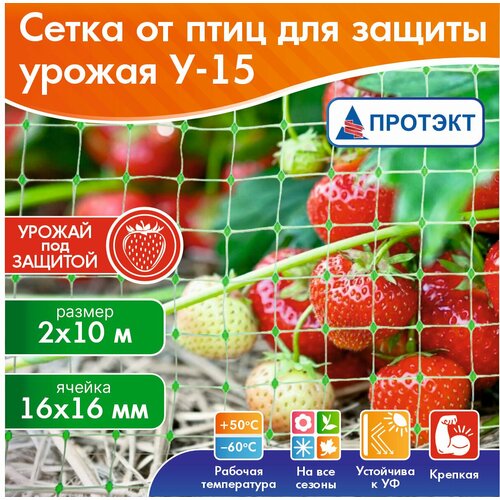 ������ ������ ����� ��� ������ �� ���� ������� 2�10 � (20 �2), ����������� ������ 16�16 �� ����