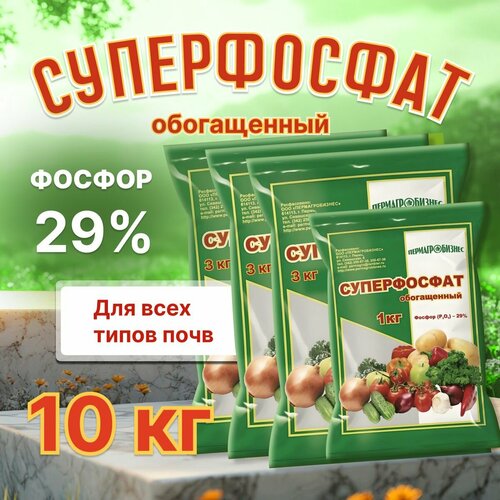 ������ ������ ������� ��������� ������������� ����������� 10�� ����