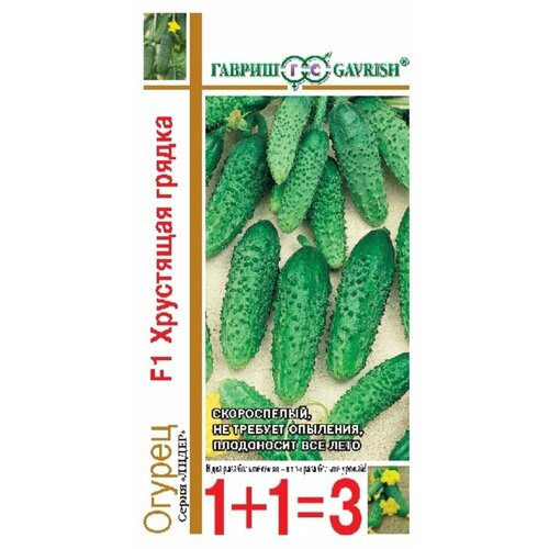 ������ ������ ������ ������ ��������� ������ F1 20�� ������������������ ������ (������) 1+1 ����