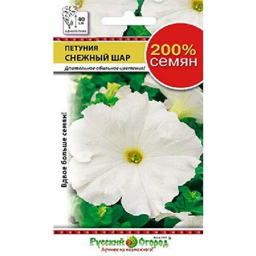 ������ ������ ������ ������� 