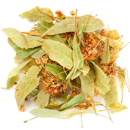 ������ ������ ������ ���� ������������ ����