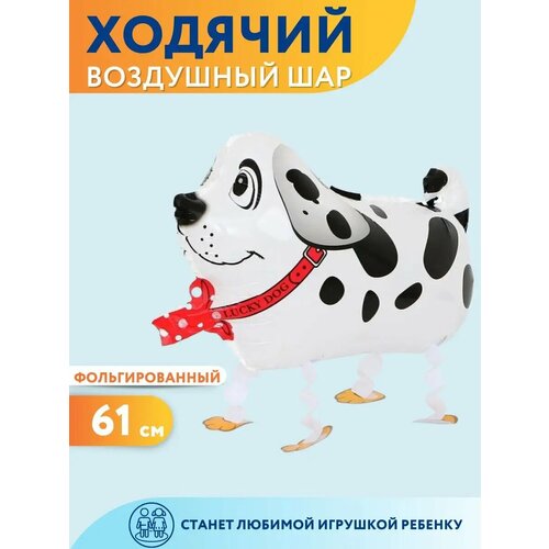 ������ ������ ��������� ��� ������� ������ ���������� ����