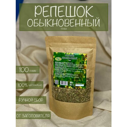 ������ ������ ������� ������������ ����� 100 ����� ����