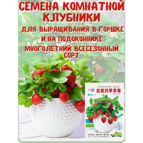 ������ ������ ������ �������� ��������� ��� ����������� ����